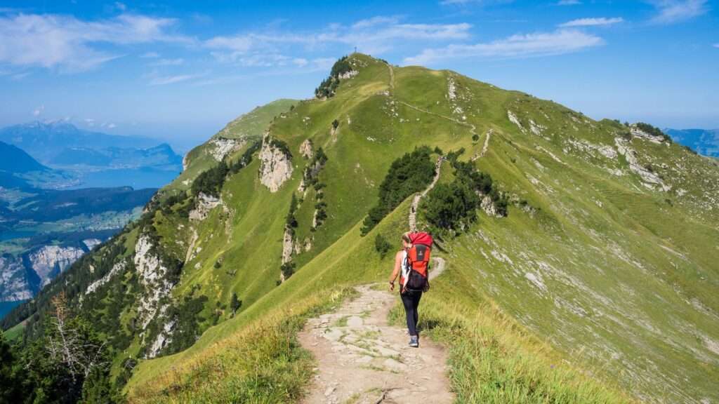 Senso della Psicoterapia